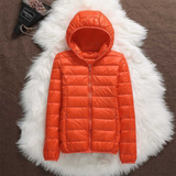 Spring/Summer Jacket