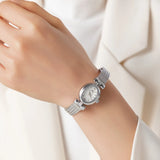 Maso Collection
